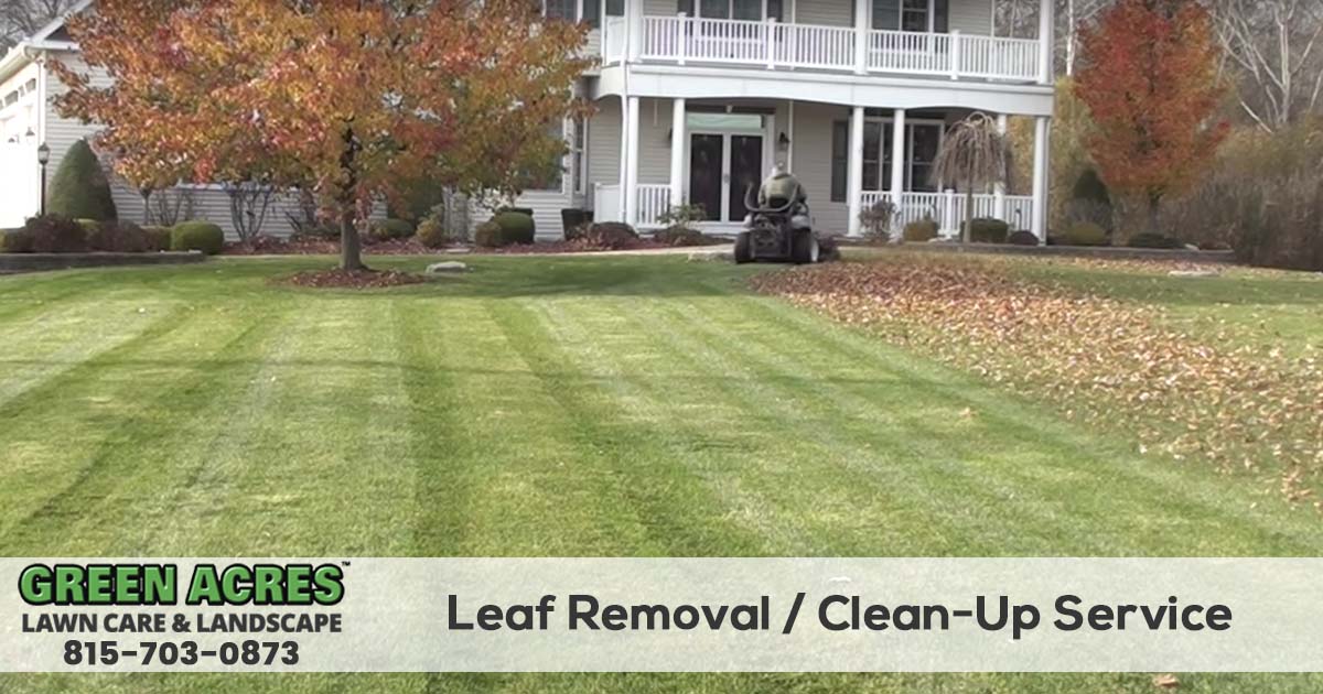 Leaf Removal and fall clean up services
