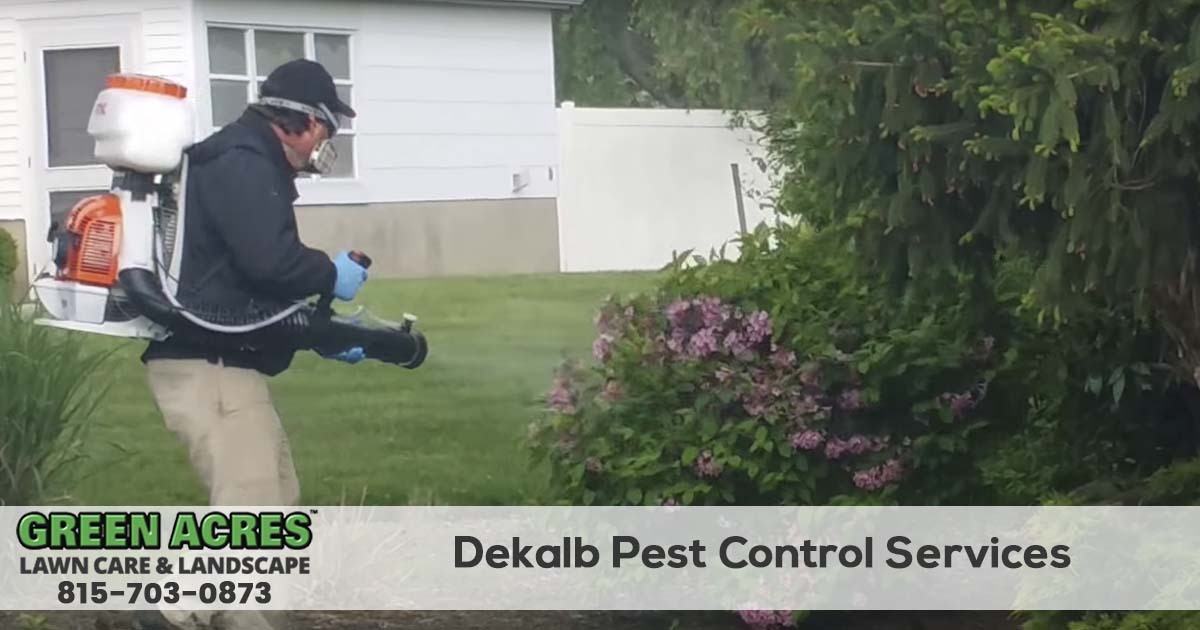 Dekalb Illinois Pest Control & Mosquito Company