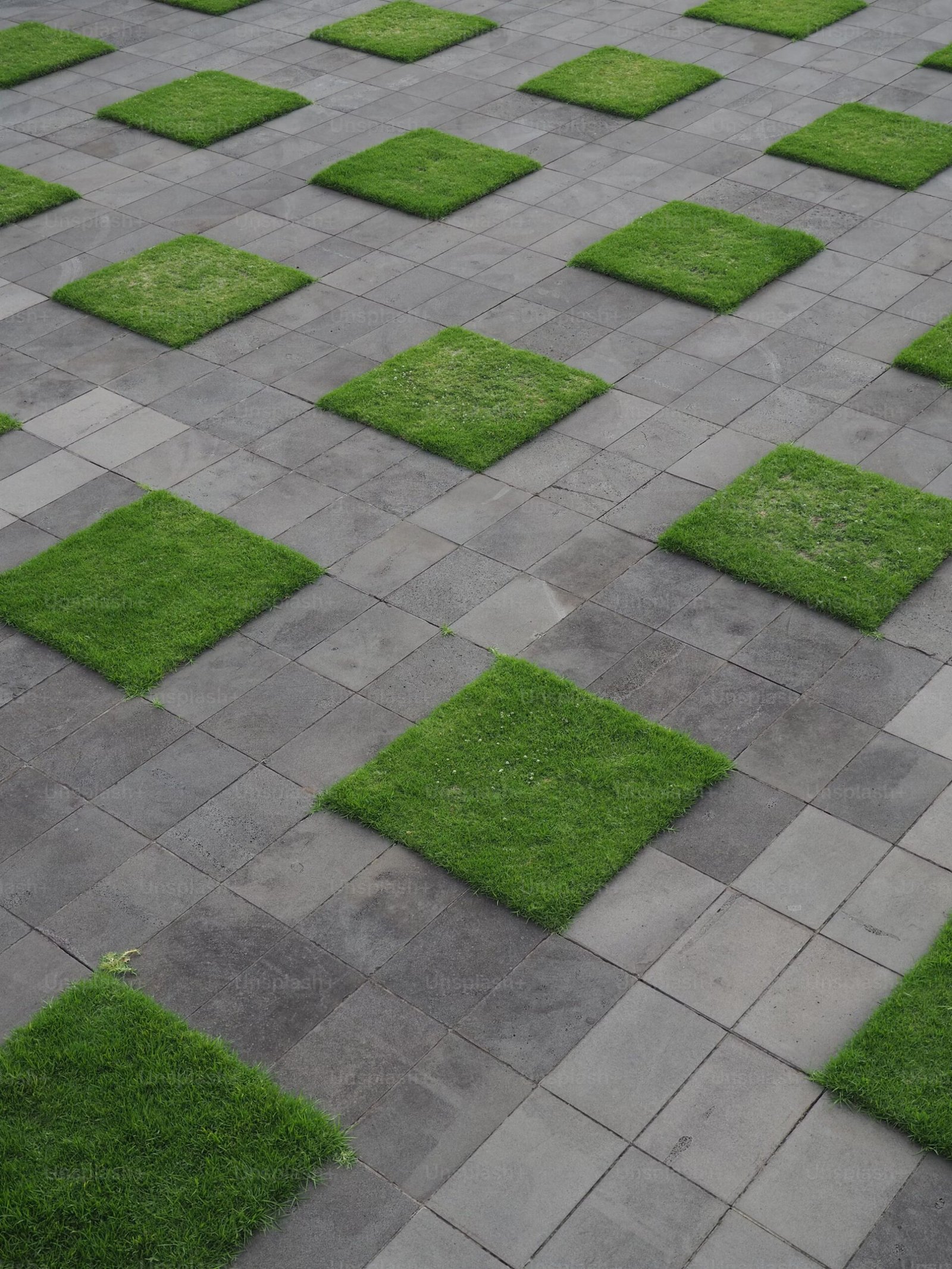 Lawn Care Image 2