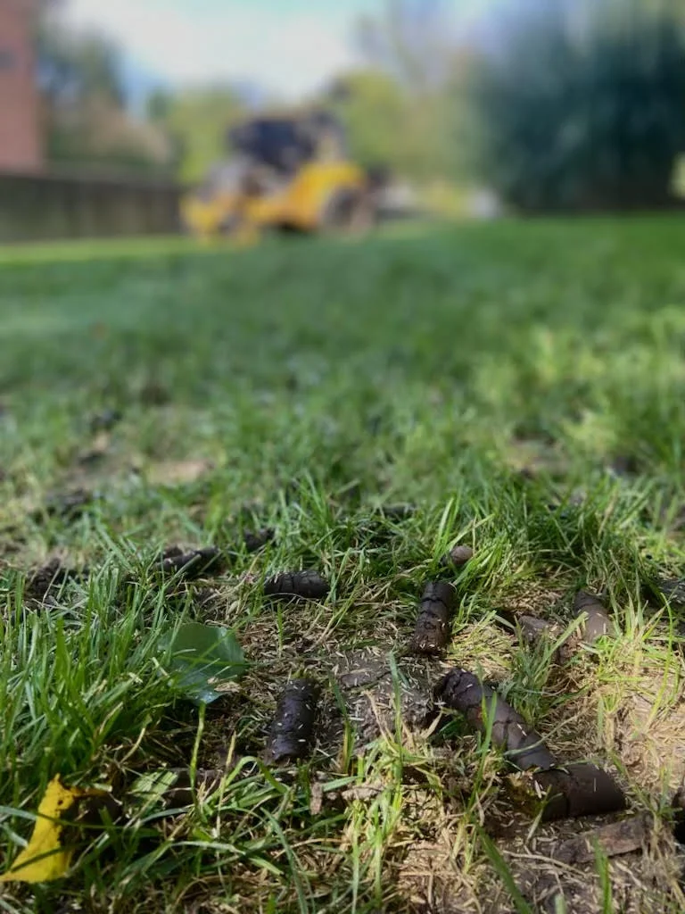 Green Acres lawn aeration service showing freshly aerated turf with soil plugs and yellow aerator equipment in background