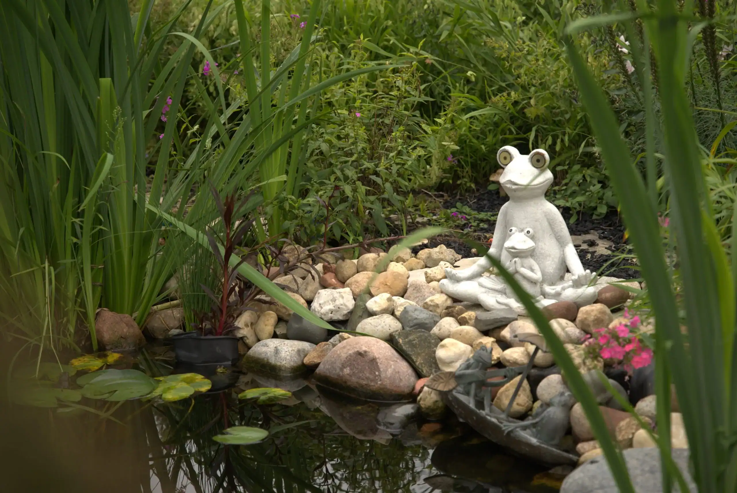 Green Acres decorative pond installation with stone edging, water plants, and frog statue ornament