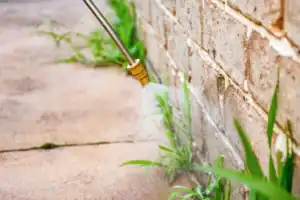 Green Acres technician performing weed control treatment along brick wall and patio edge